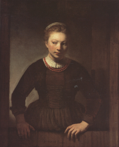 samuel van hoogstraten